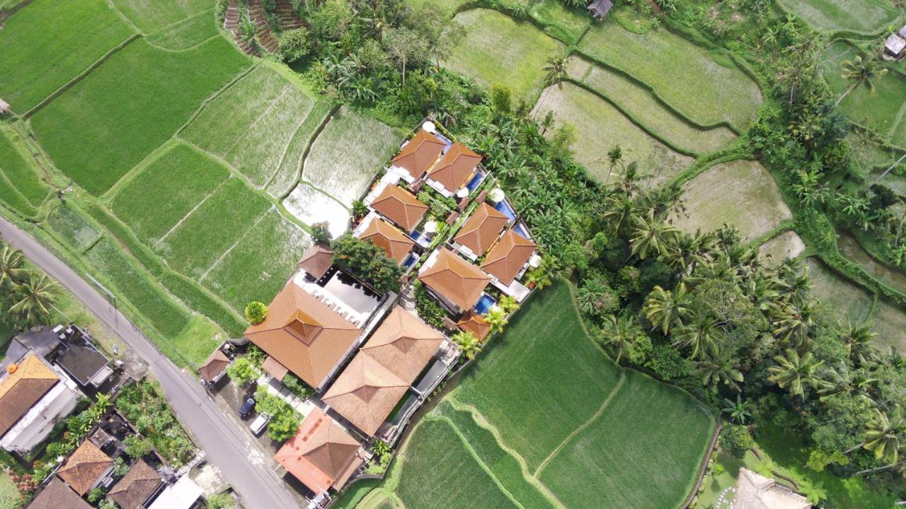 Danakha Villa Ubud 뜨갈랄랑 외부 사진