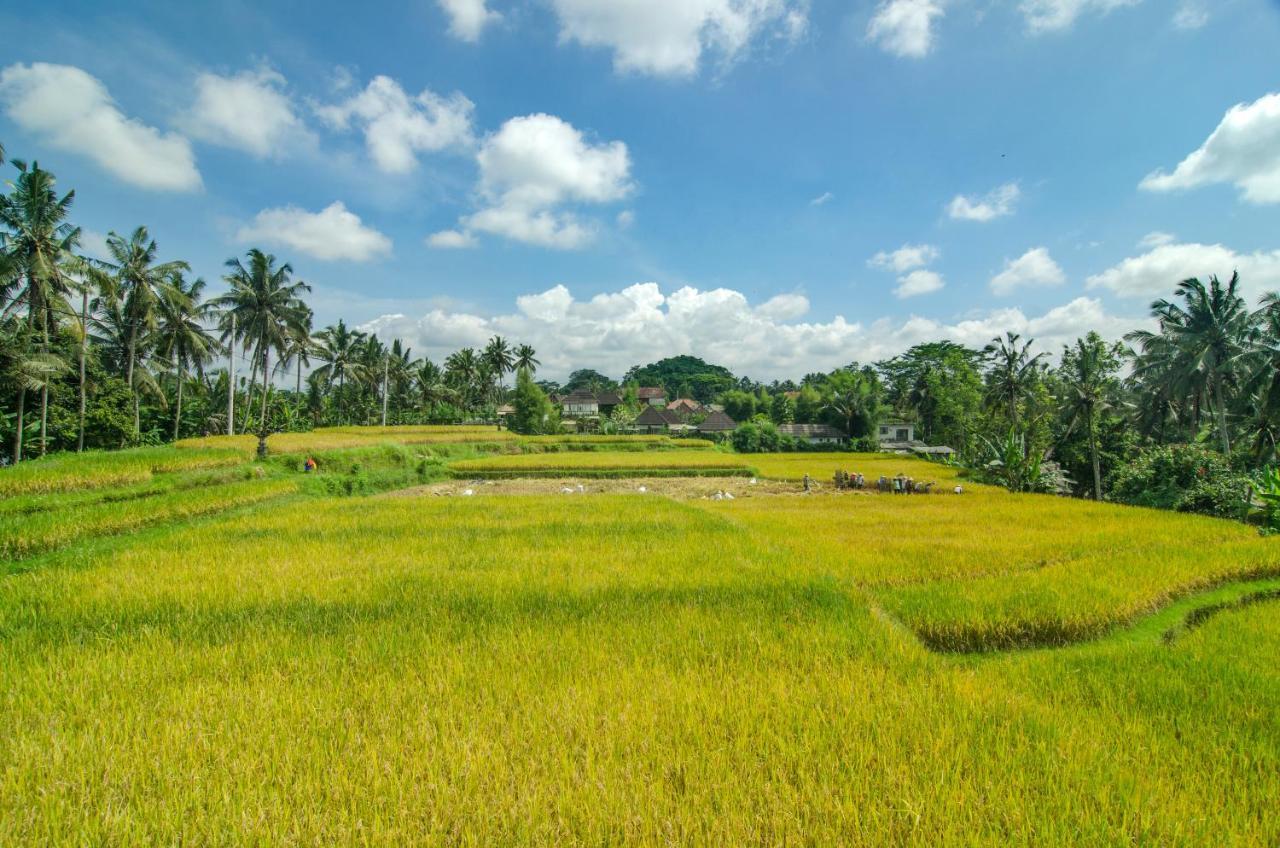 Danakha Villa Ubud 뜨갈랄랑 외부 사진